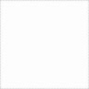 Meet your Posher, Trevor